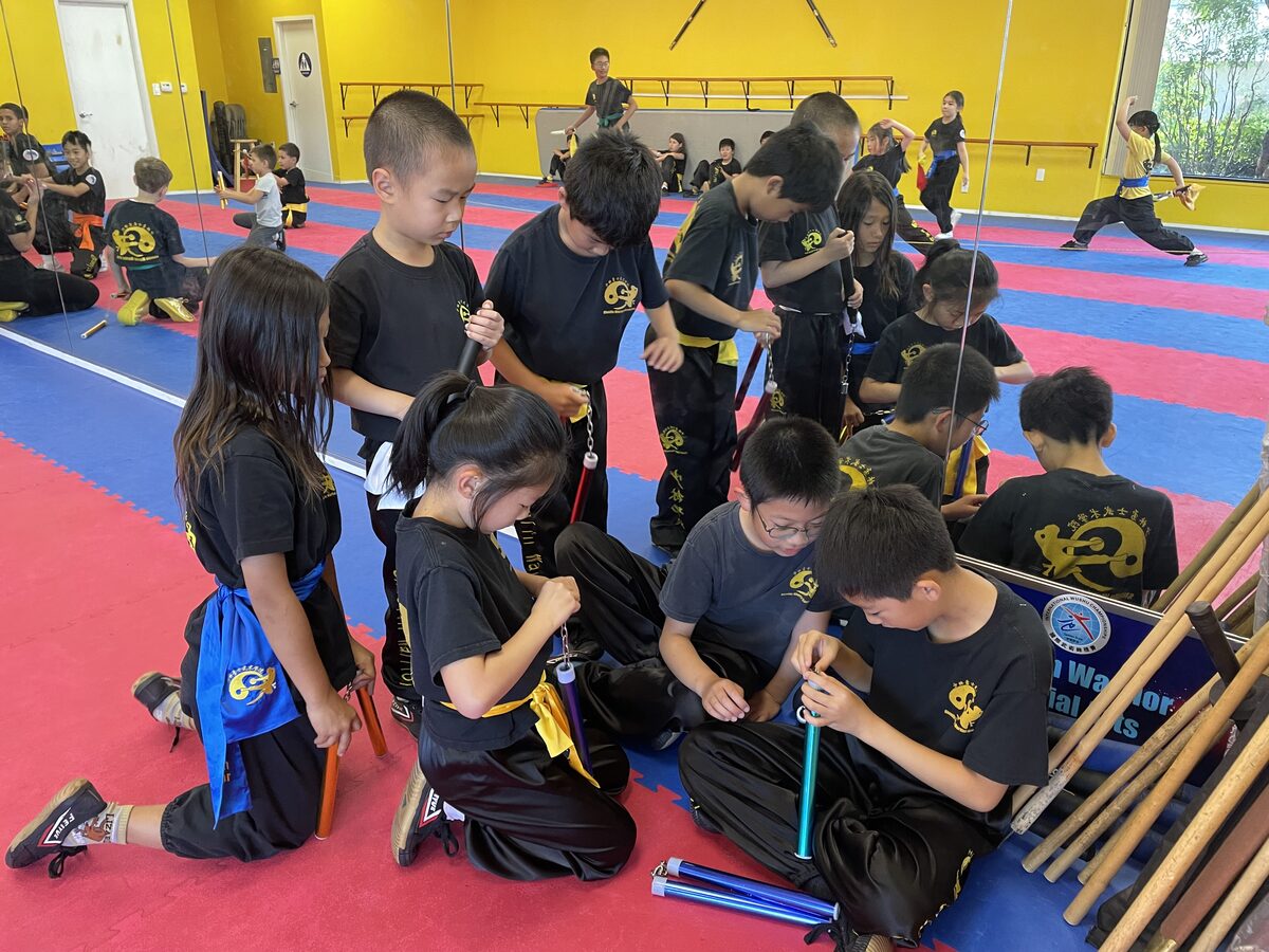 Kung Fu forms training session